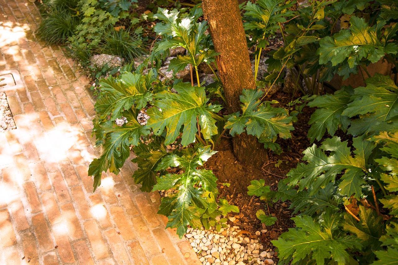 Urban Jungle Leilighet Bologna Eksteriør bilde