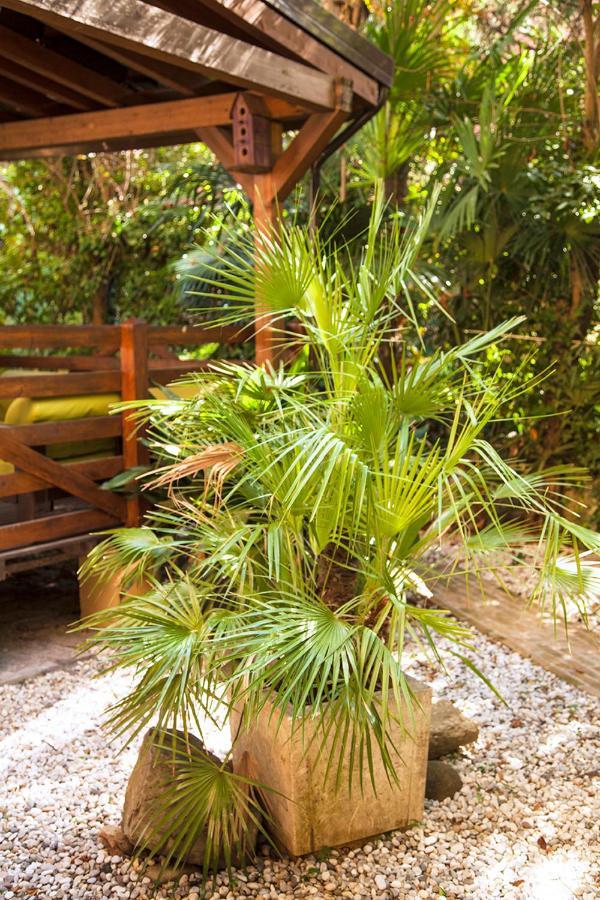 Urban Jungle Leilighet Bologna Eksteriør bilde