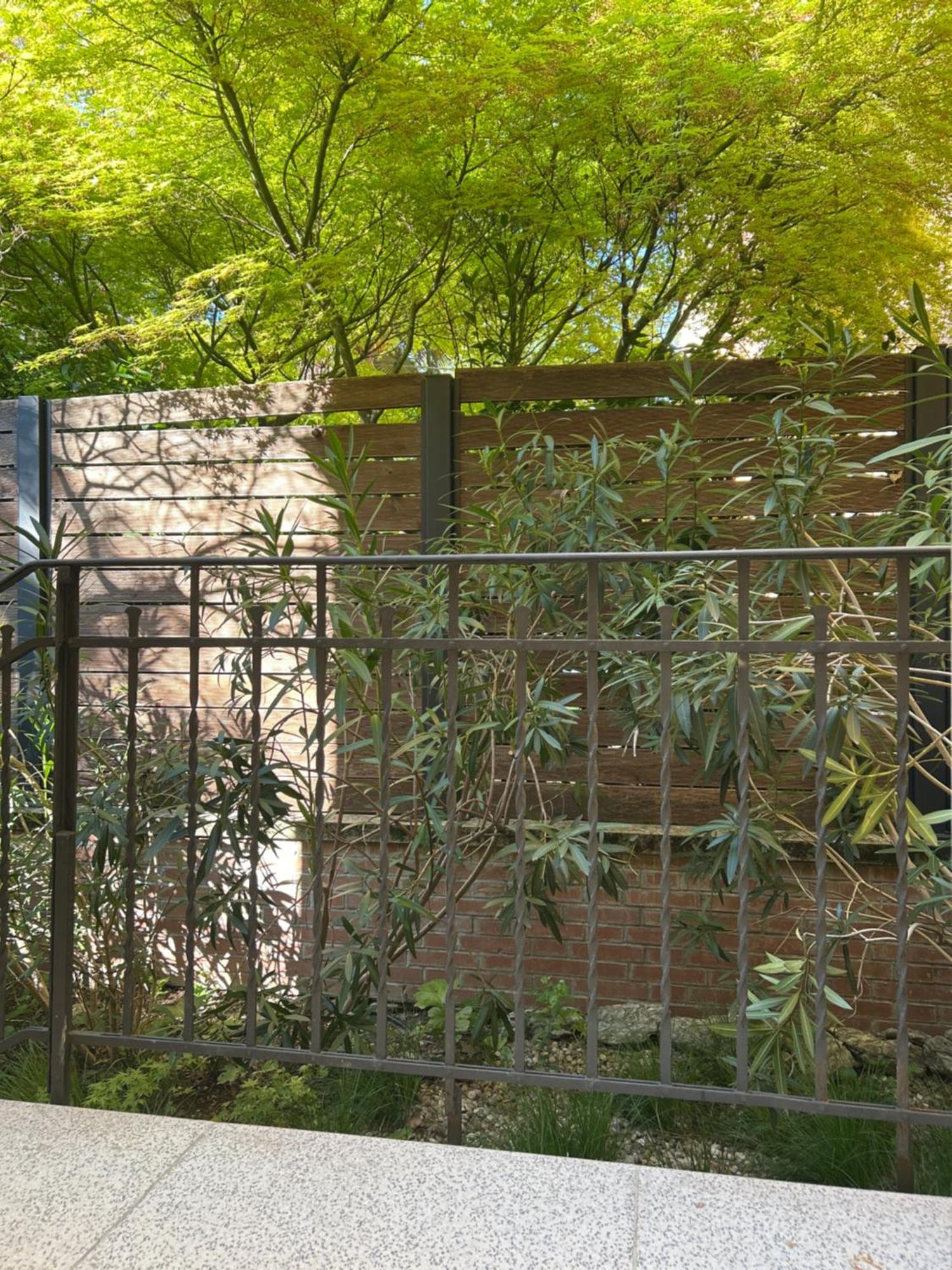 Urban Jungle Leilighet Bologna Eksteriør bilde